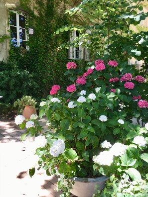 Jardin