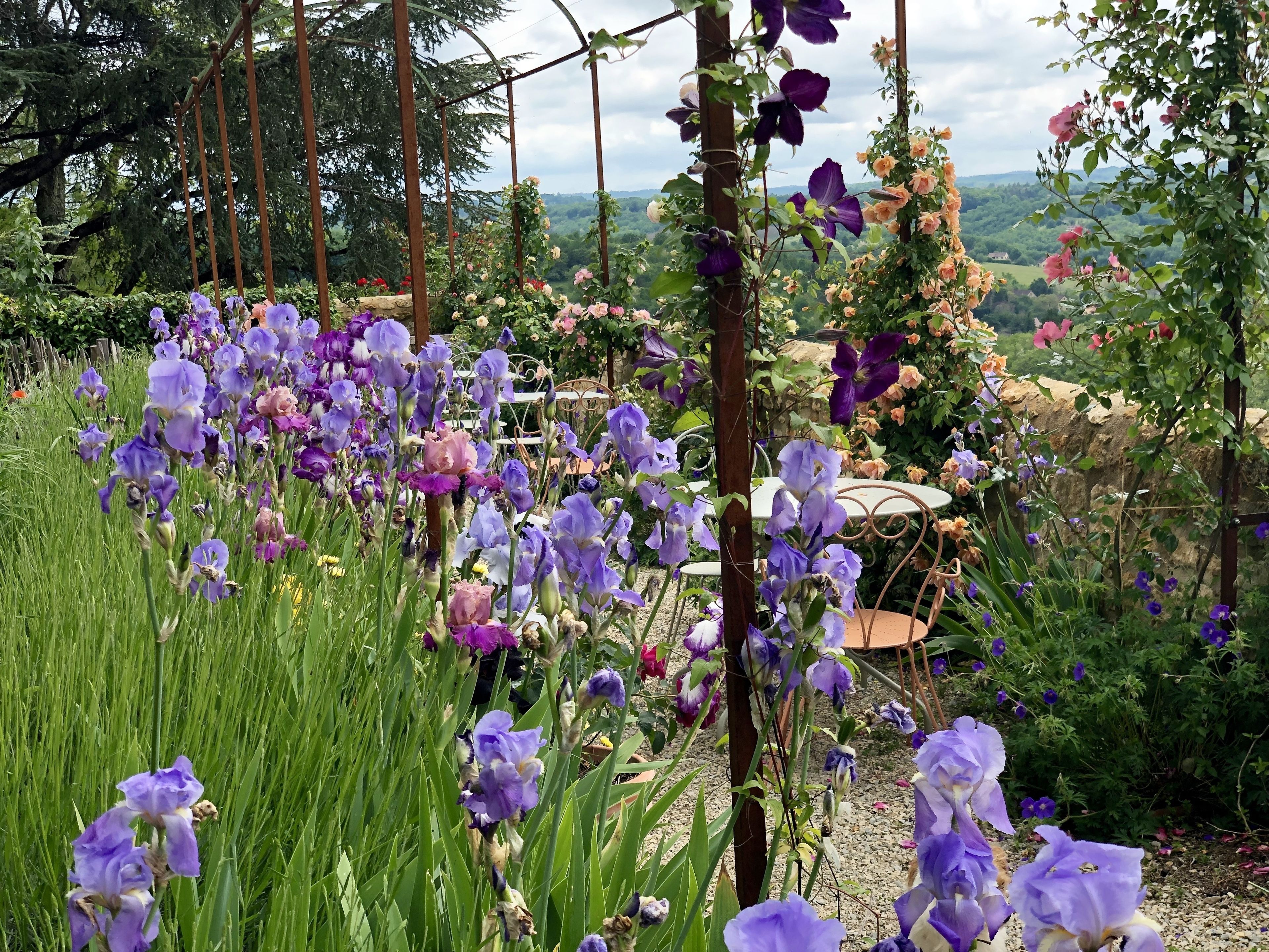 A garden with purple and pink flowers, a stone wall, and a view of distant hills.