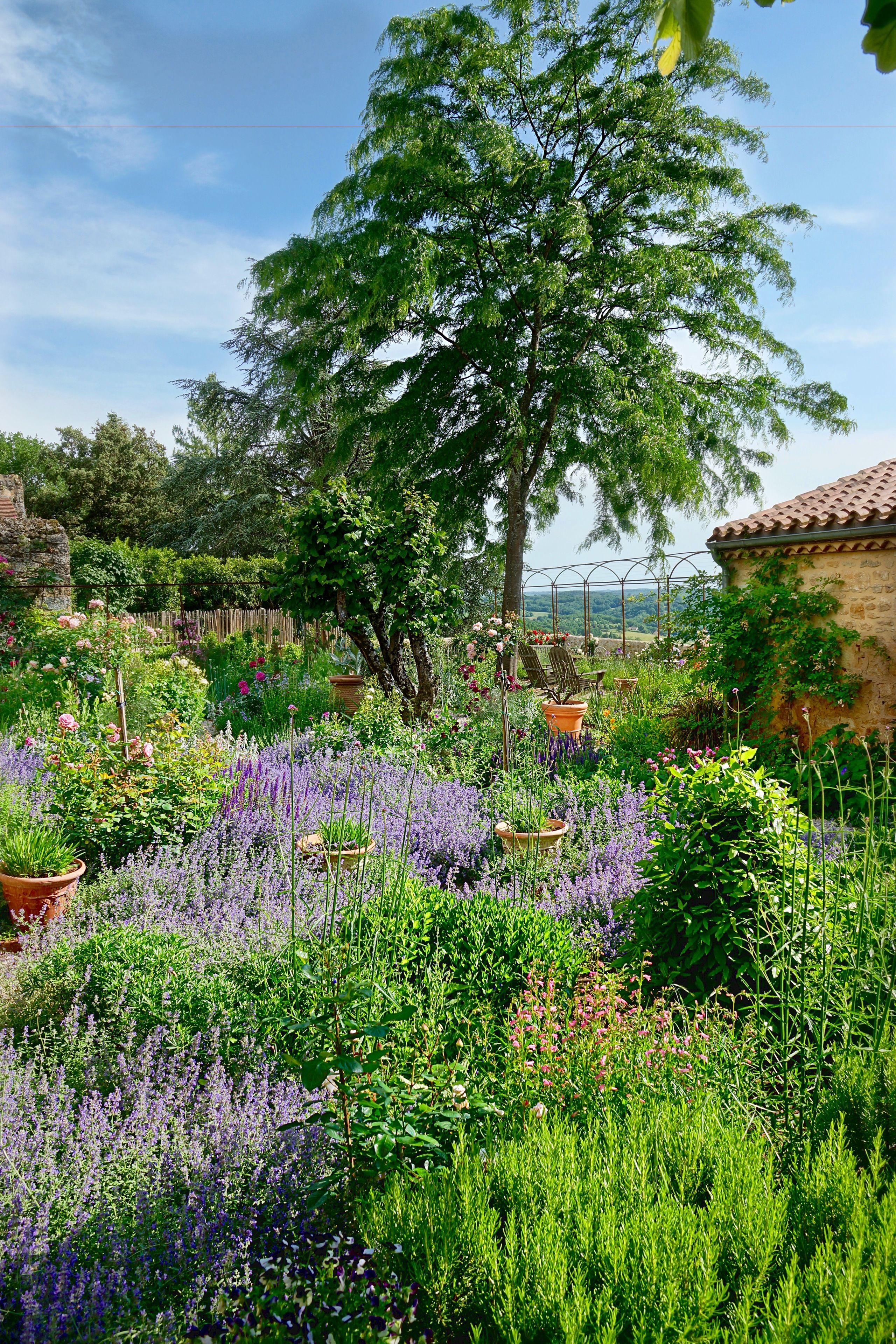 Un jardín con diversas plantas y flores, un árbol y un edificio al fondo.
