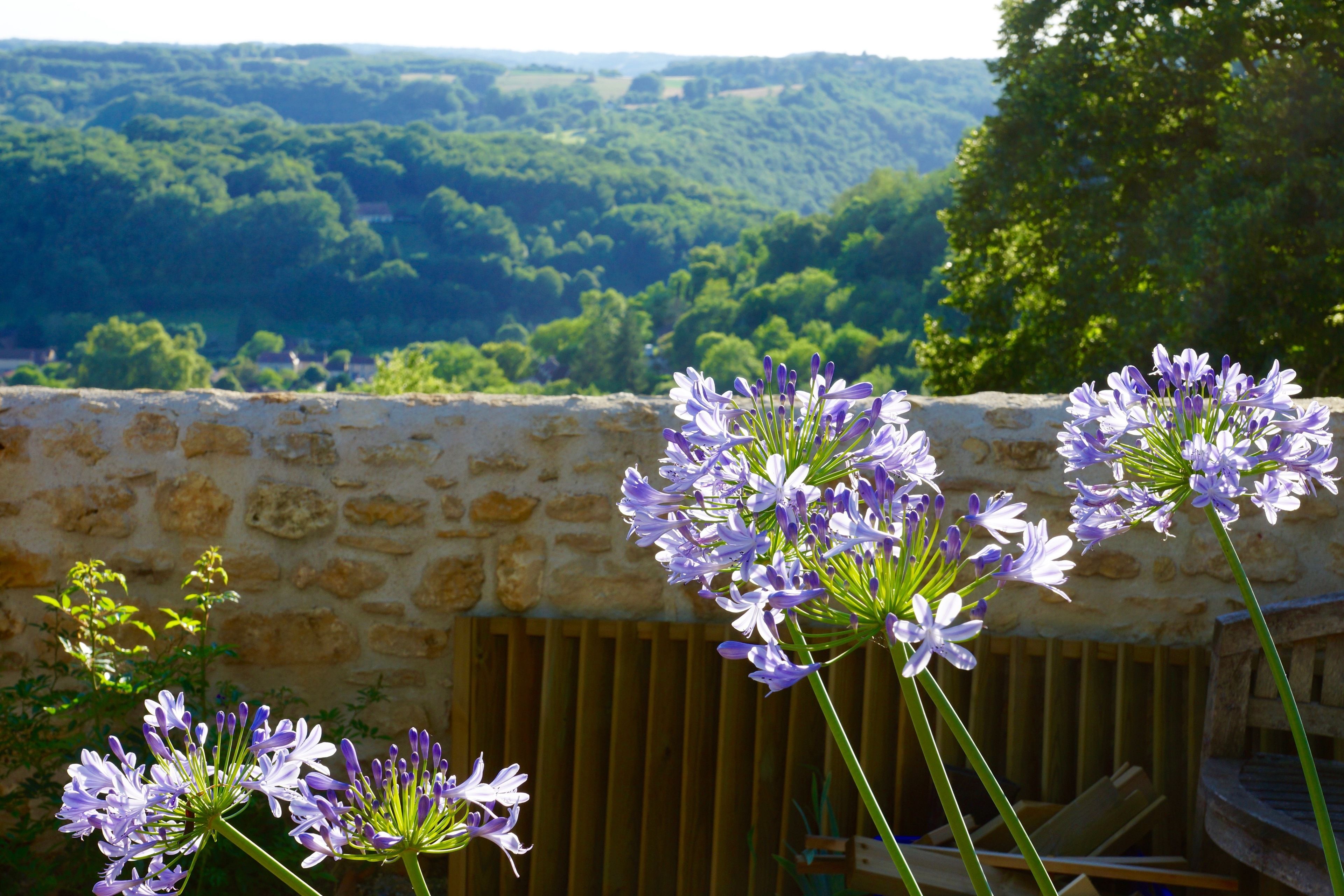 Un muro di pietra con vista su un paesaggio verde e rigoglioso.