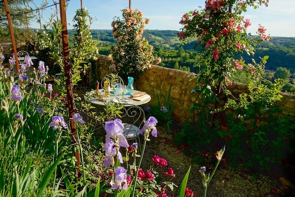 Un jardín con una mesa dispuesta para comer, rodeado de diversas flores y plantas.