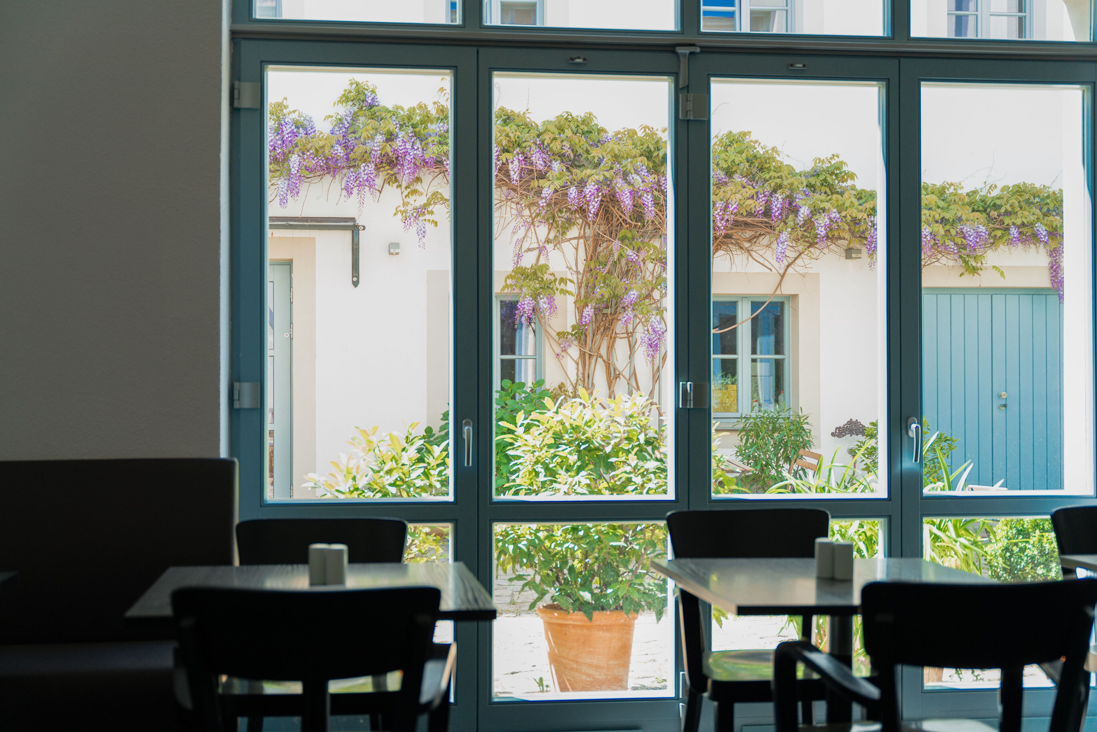 Foto - Hofgarten 1824 Hotel garni