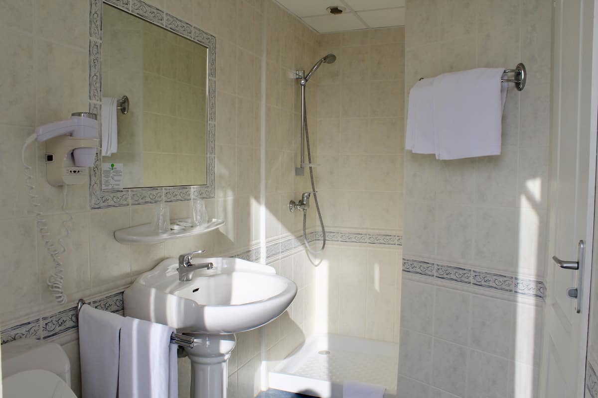 shower, free toiletries, hair dryer, towels