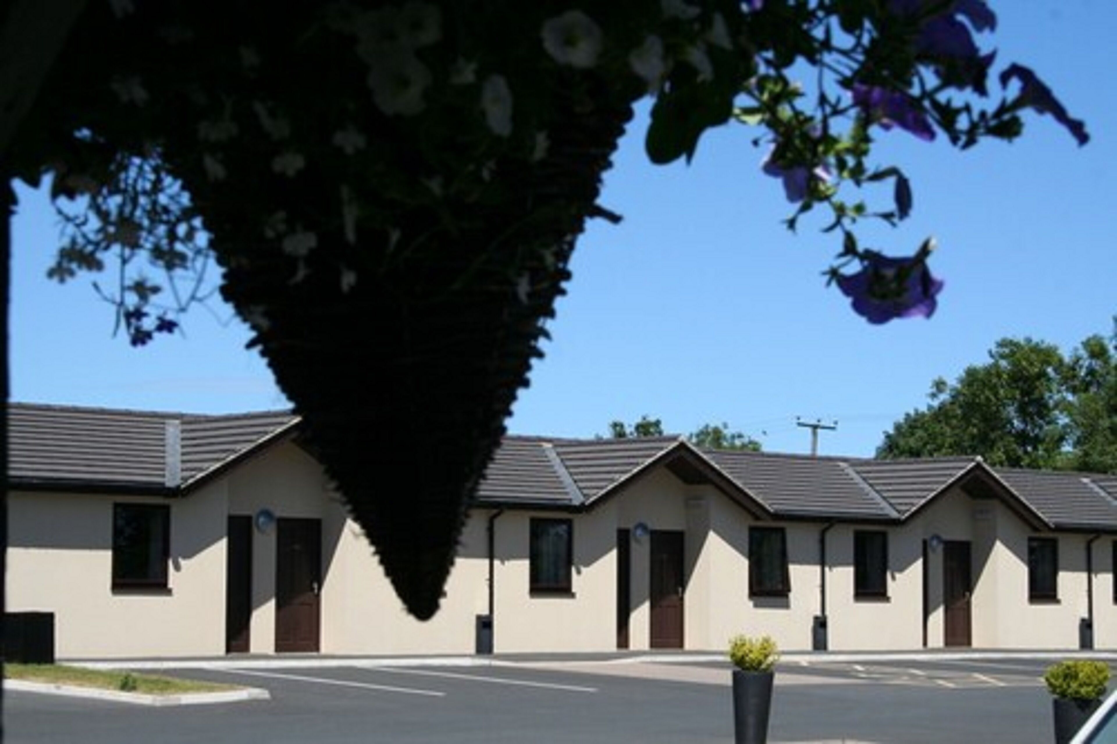 Photo - Yorkway Motel