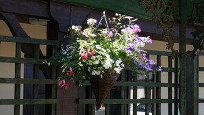 Une jardinière suspendue, remplie de différentes sortes de fleurs, est placée devant un bâtiment doté d’une marquise verte et d’une clôture en bois.