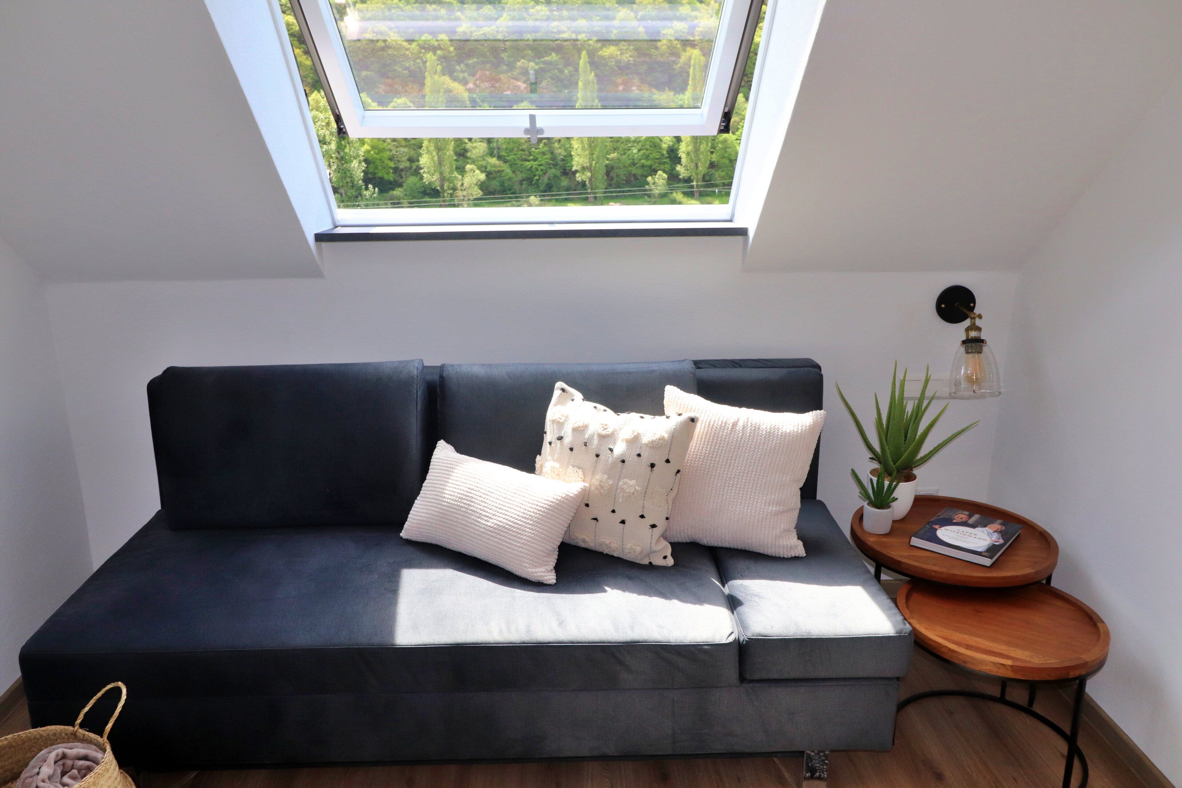 superior apartment, ensuite, river view (apartment dortebachtal)