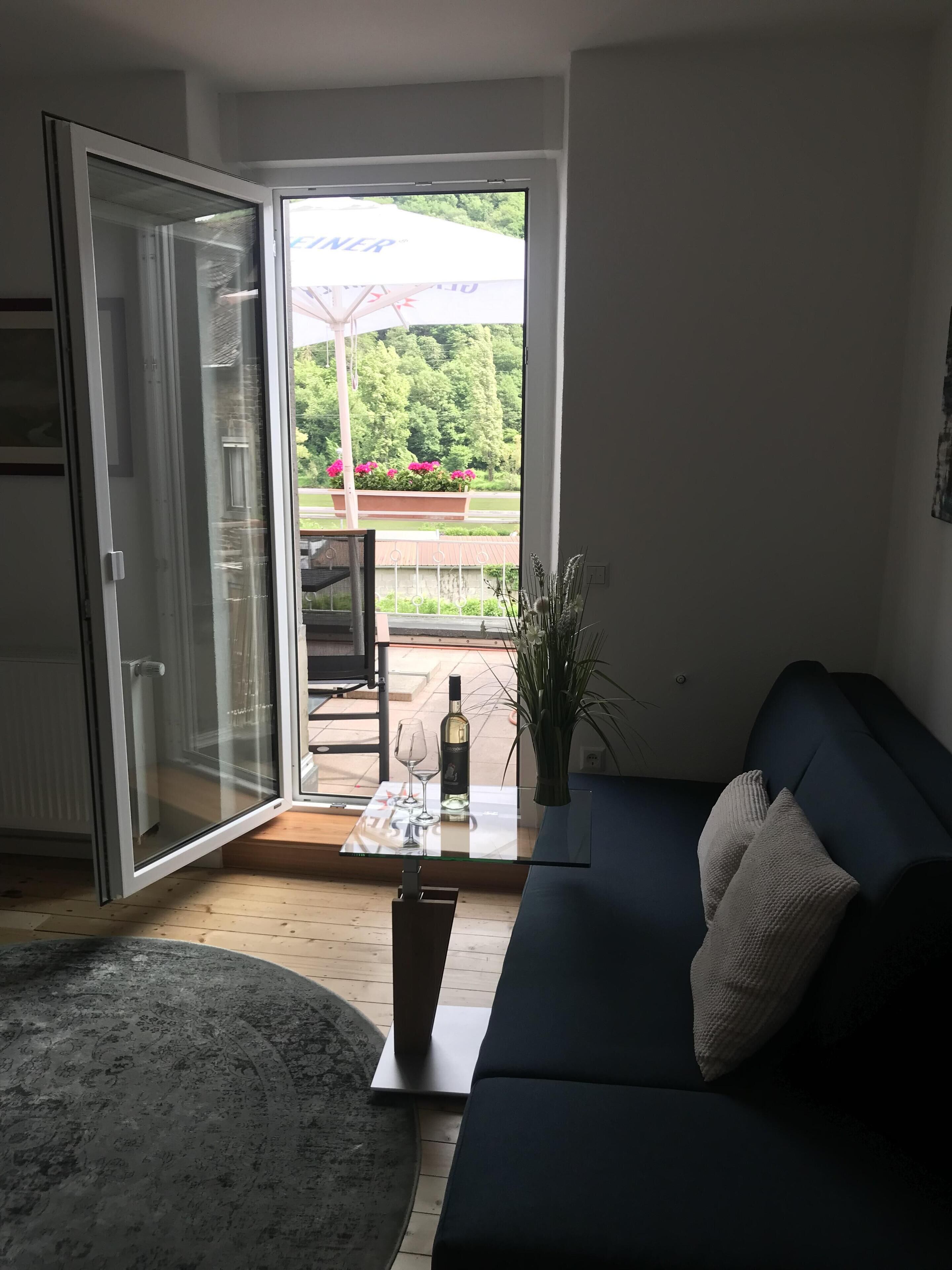 superior apartment, ensuite, river view (apartment moselschiefer)