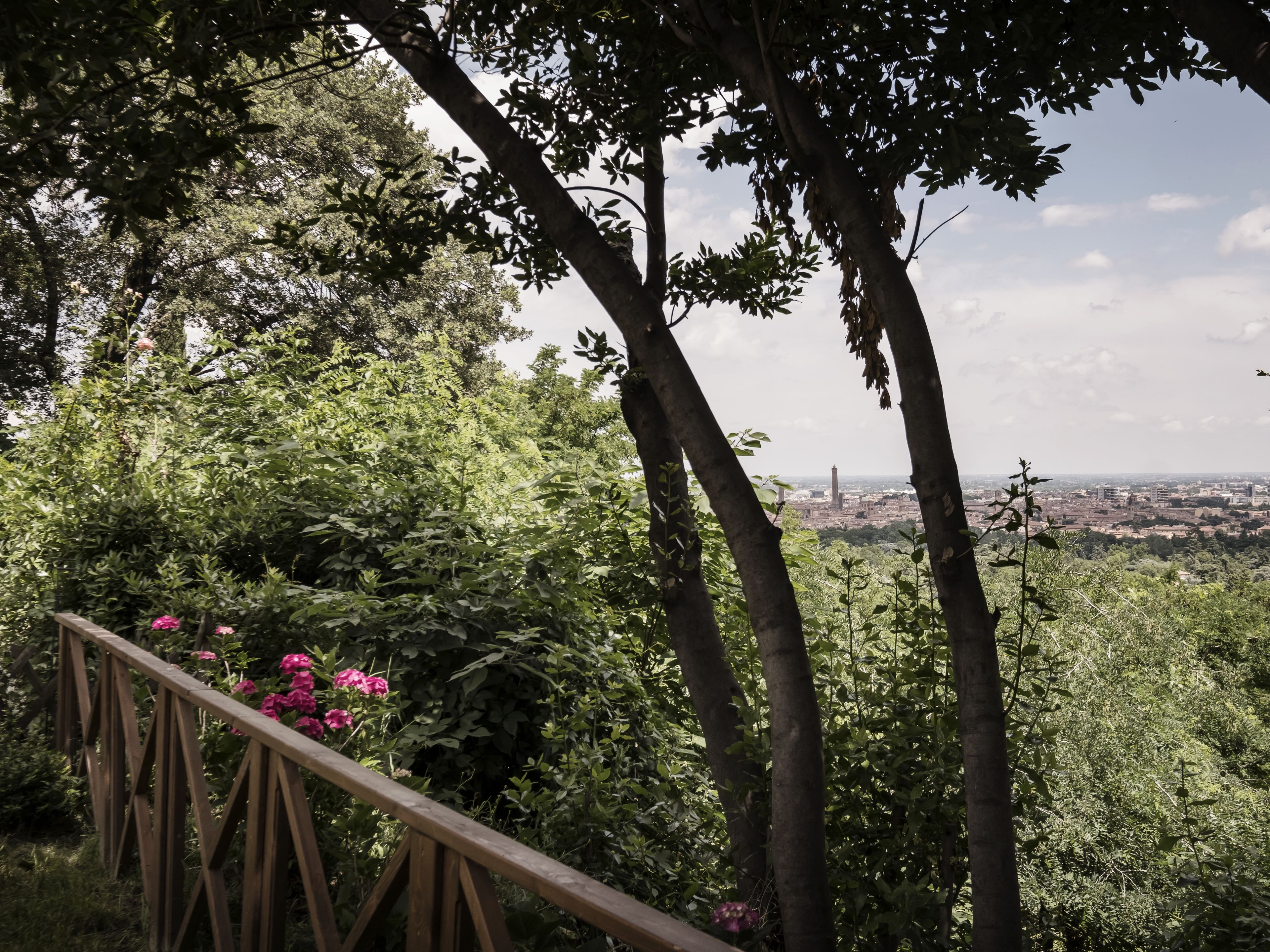 Photo - Accademia al Colle