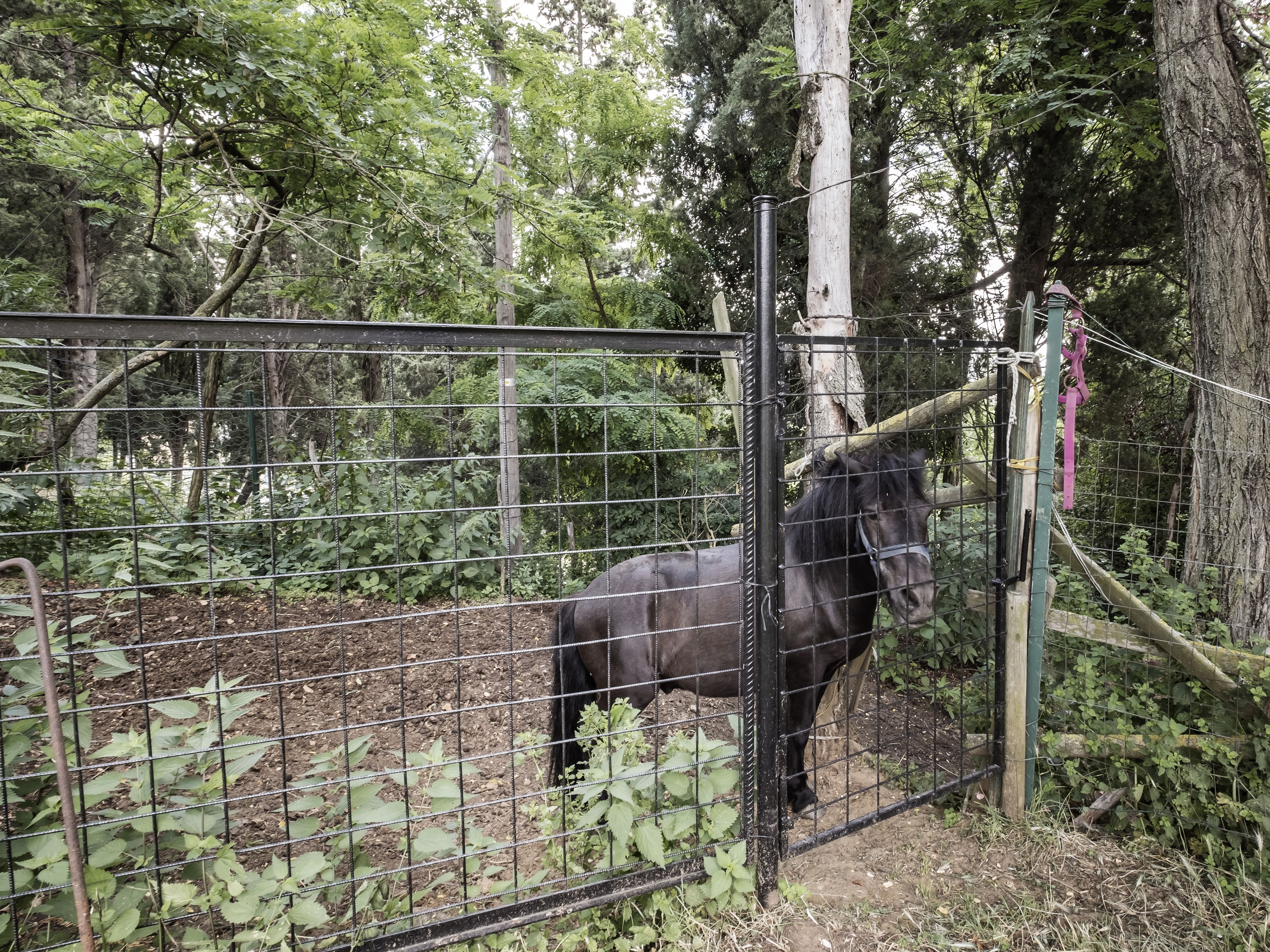 Photo - Accademia al Colle