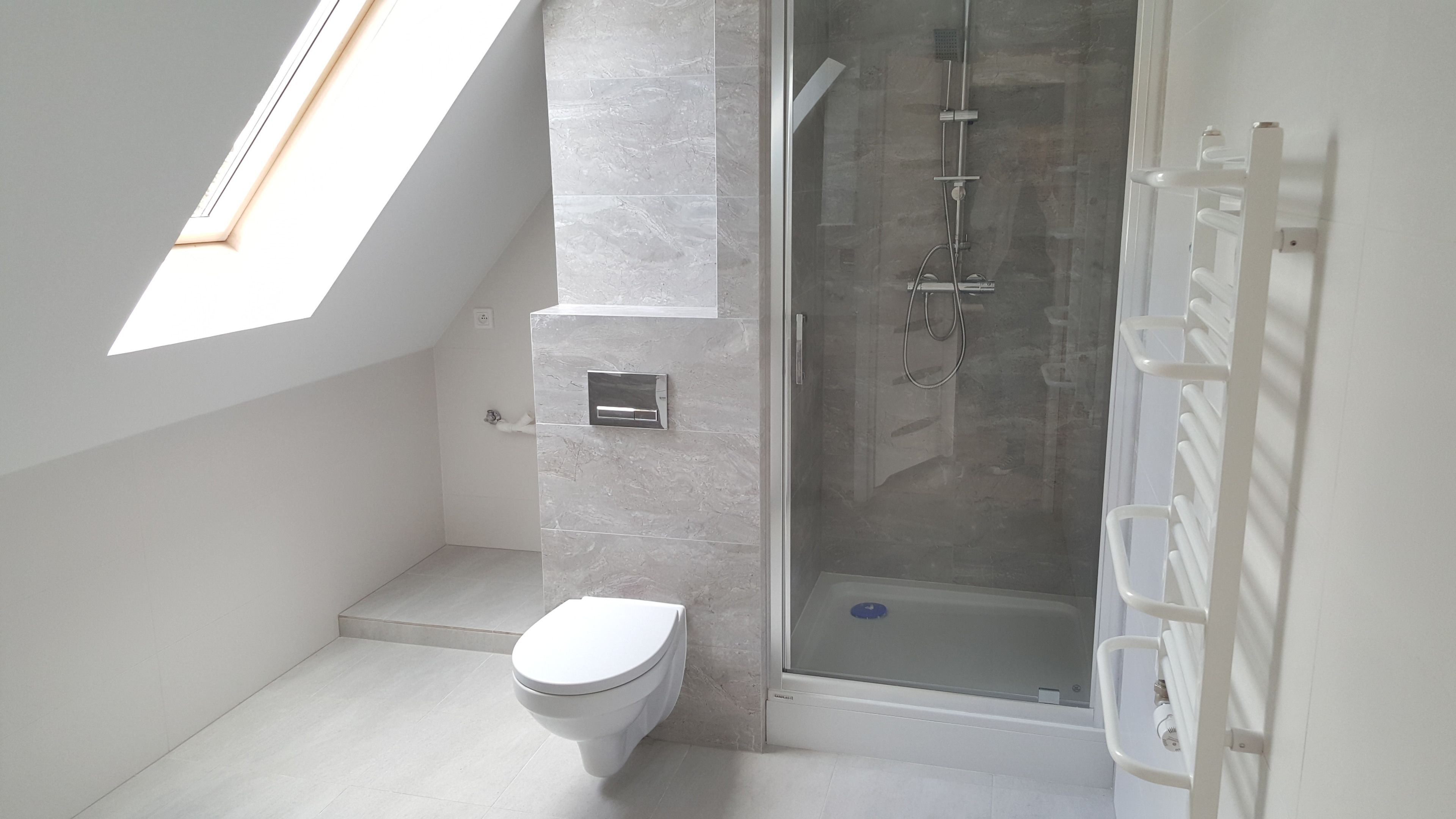 Een moderne badkamer met dakraam, douche en toilet.