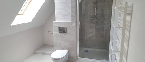 A modern bathroom with a skylight, a shower, and a toilet.