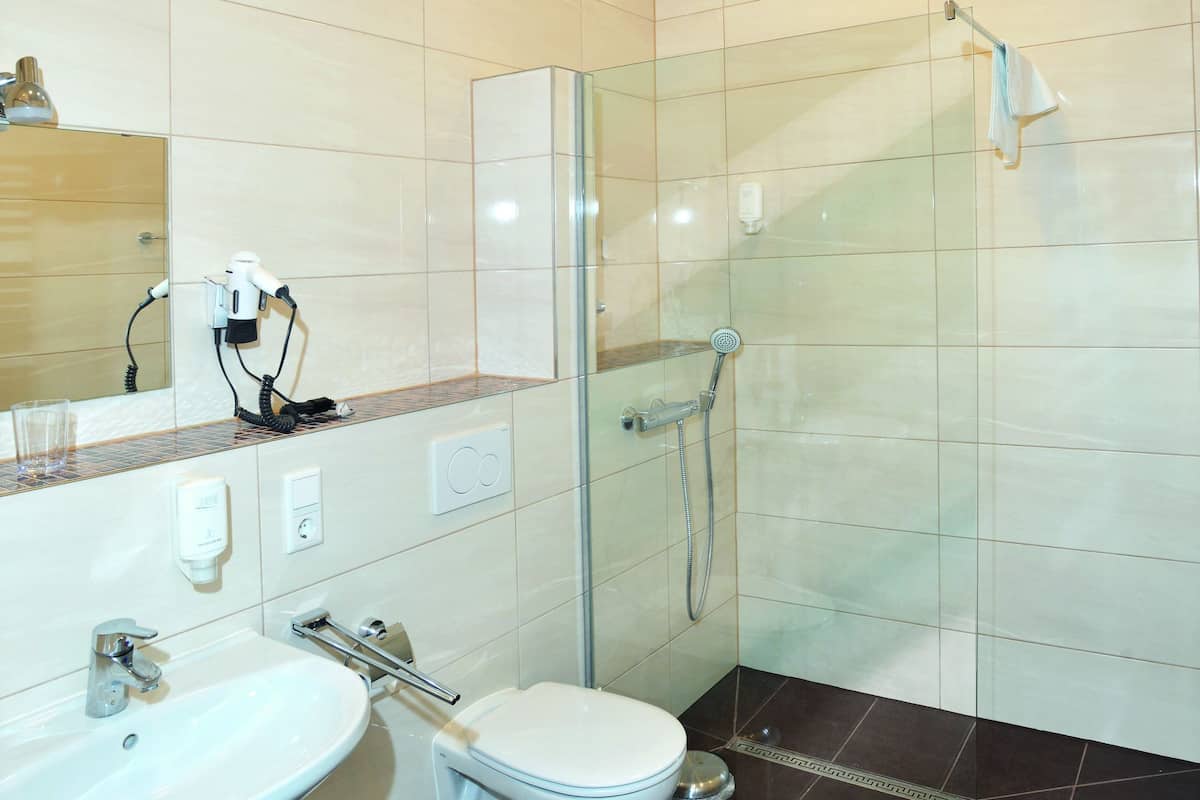 shower, free toiletries, hair dryer, towels