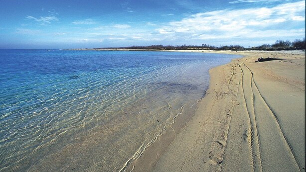 A beach with clear blue water and a sandy shore. - Blumarine Residence Club (Ostuni)