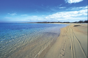 해변