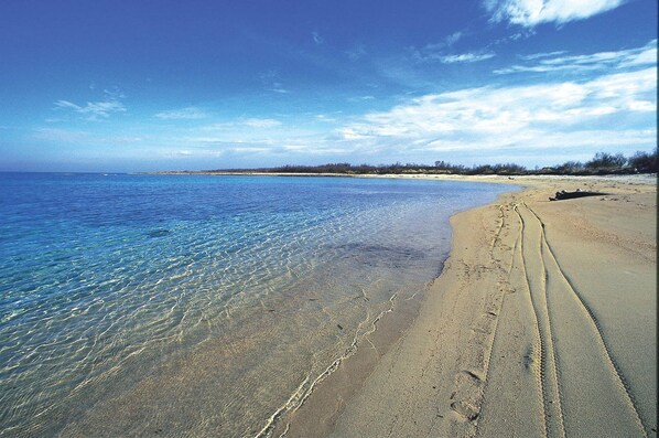 Beach nearby, white sand