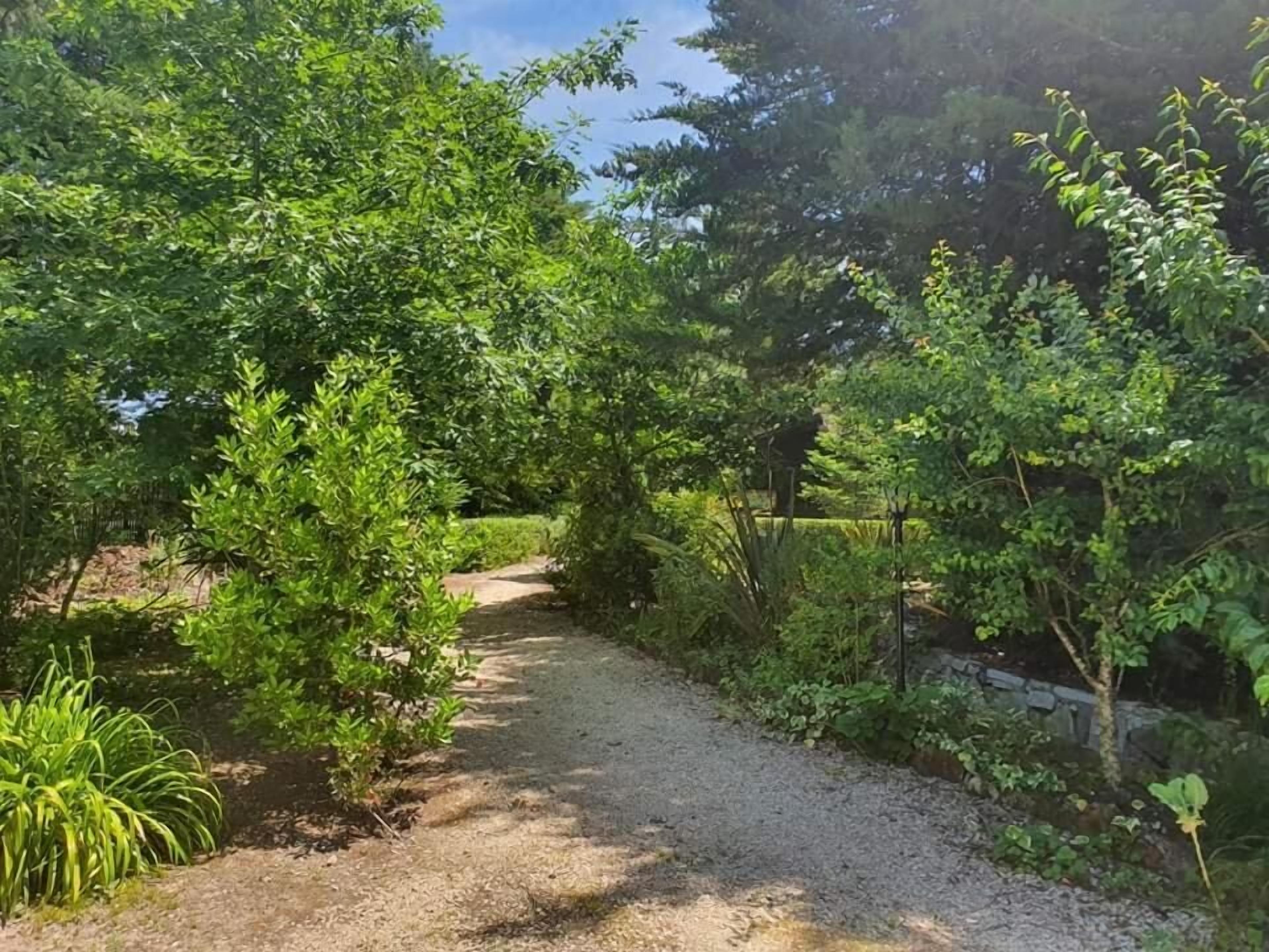 Un chemin de gravier bordé d’une végétation luxuriante et d’arbres.