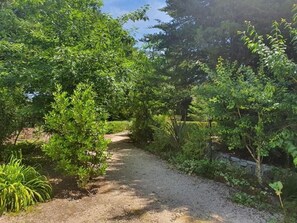 Property grounds - Quinta Sul America (Moimenta da Beira)