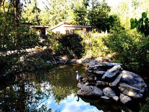 Lake - Quinta Sul America (Moimenta da Beira)