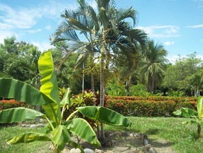 Garden - Hotel Albatros (Espinal)