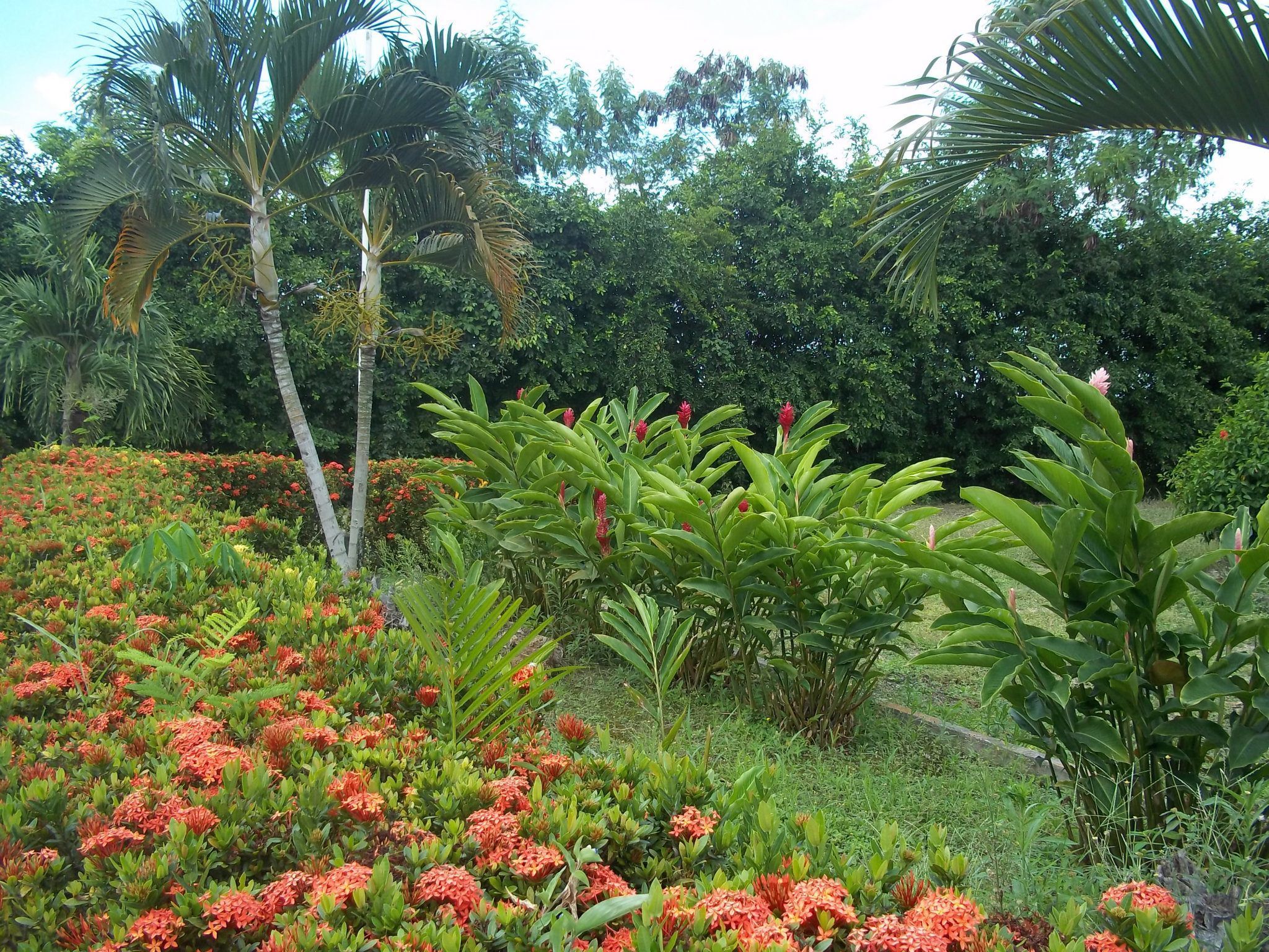 Jardín