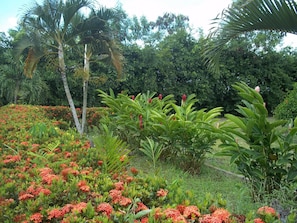花園