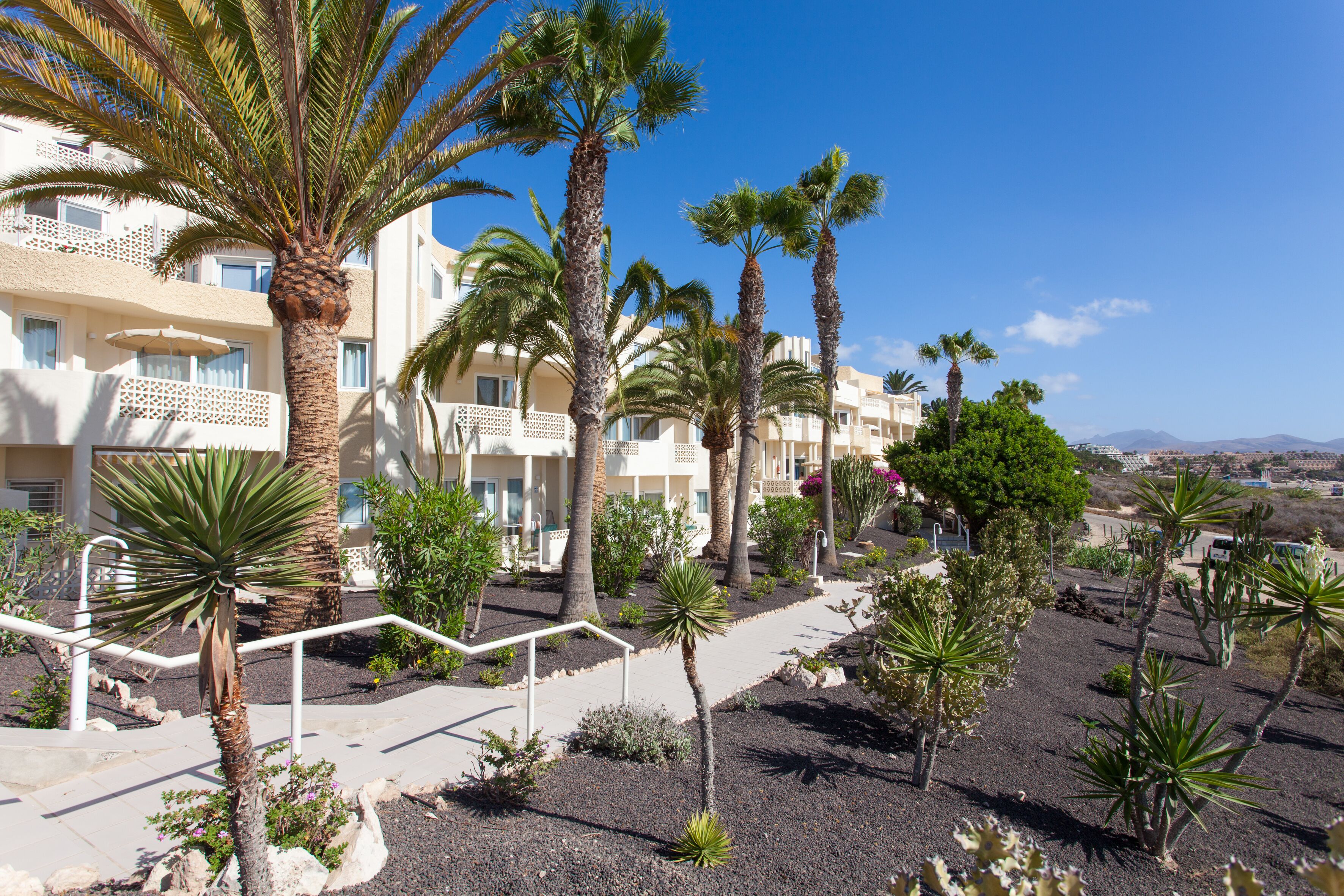 A resort with multiple palm trees, a pathway, and a building with balconies.