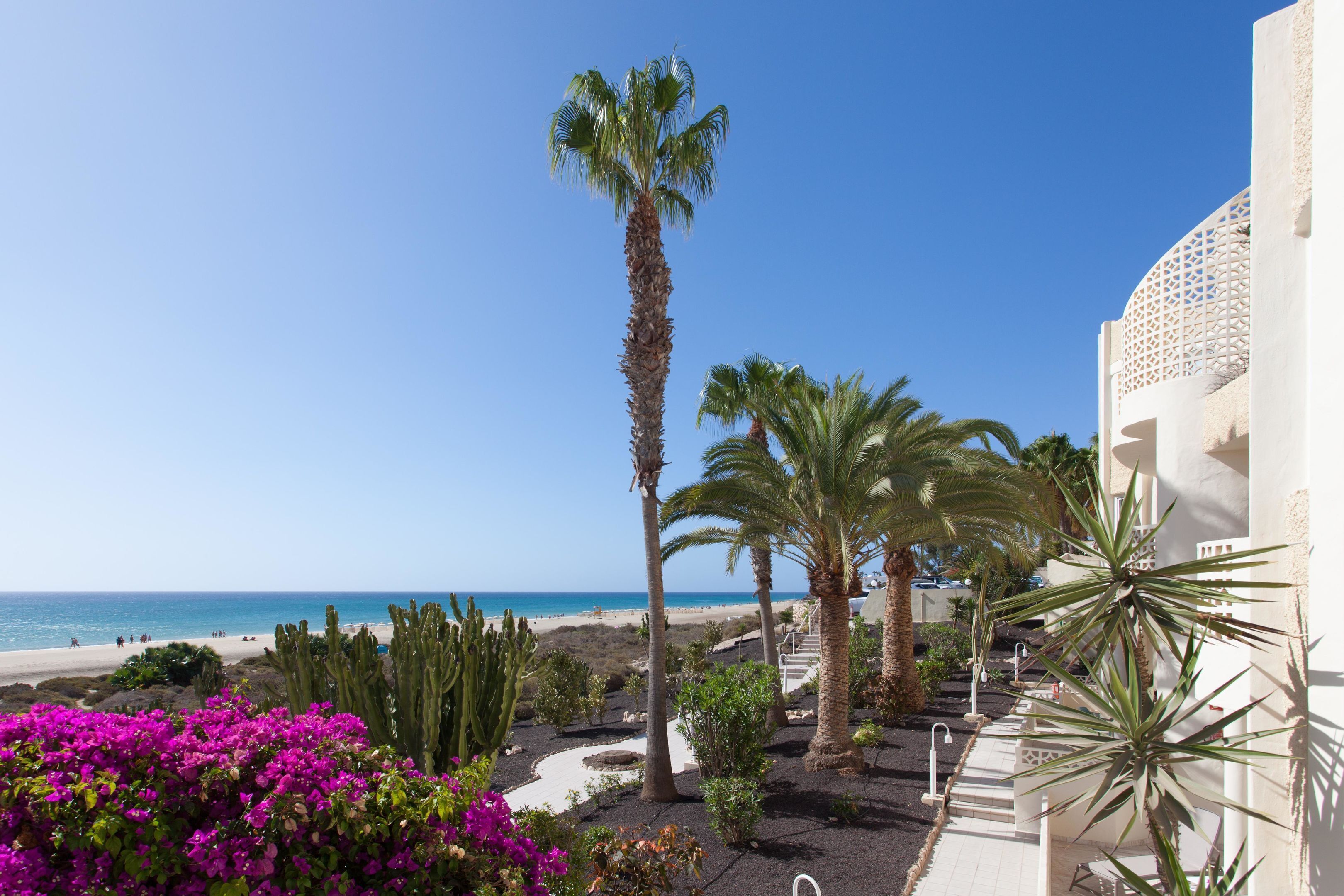 A beachfront view with palm trees, a beach, and a building with a white facade and geometric window design.