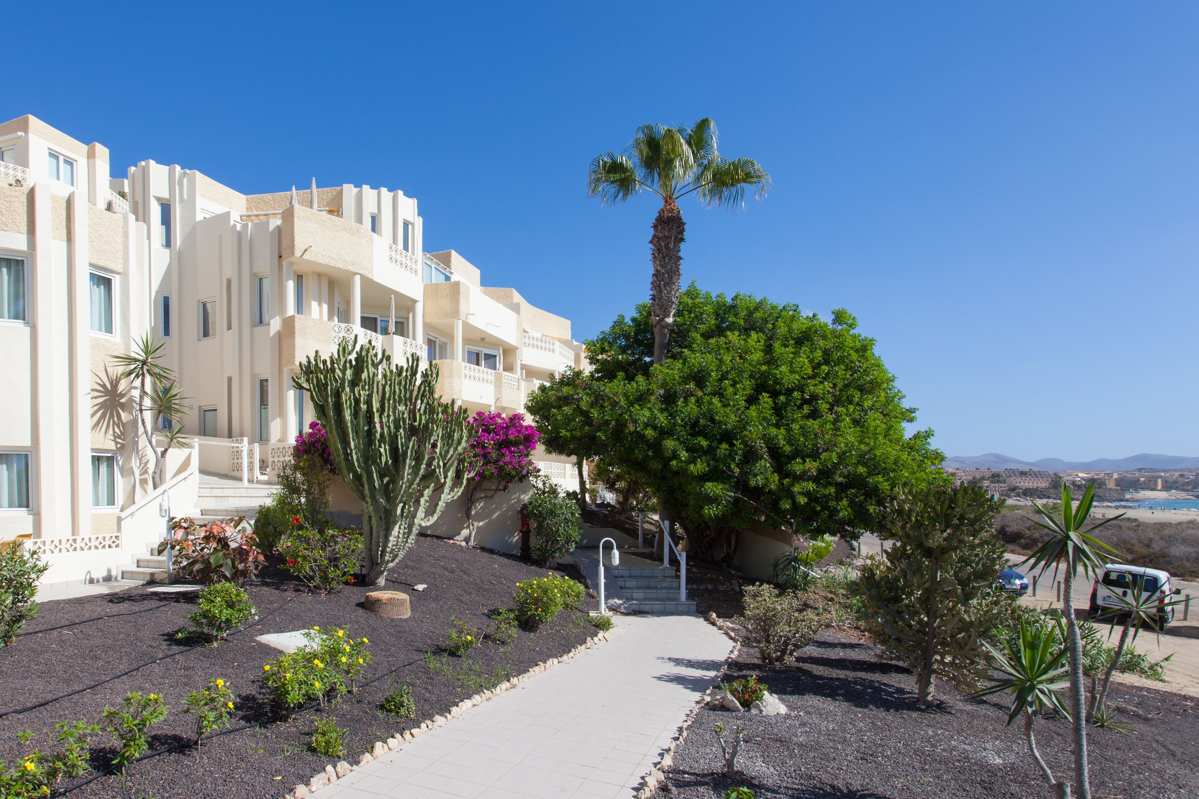 A hotel with a paved walkway, palm trees, and cacti.