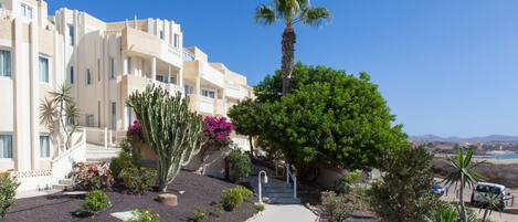 A hotel with a paved walkway, palm trees, and cacti.