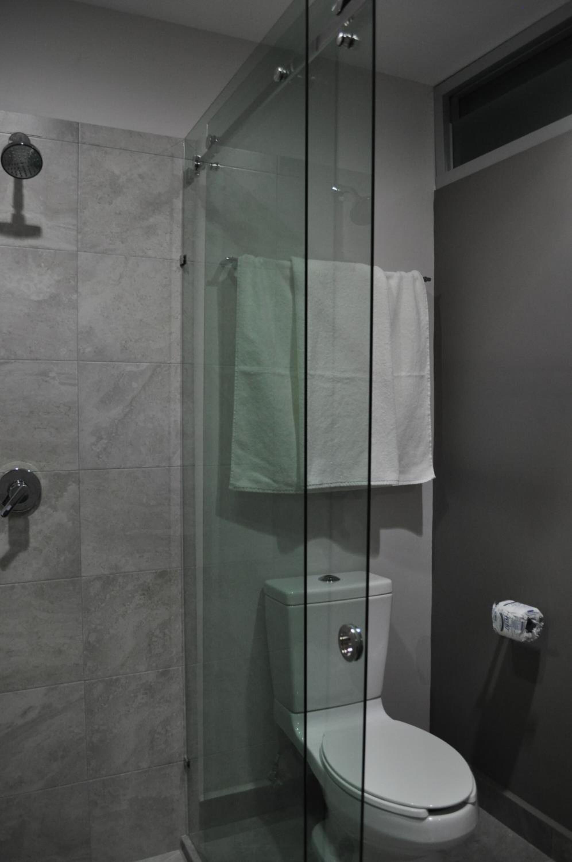 A bathroom with a glass-enclosed shower, a toilet, and a towel rack.
