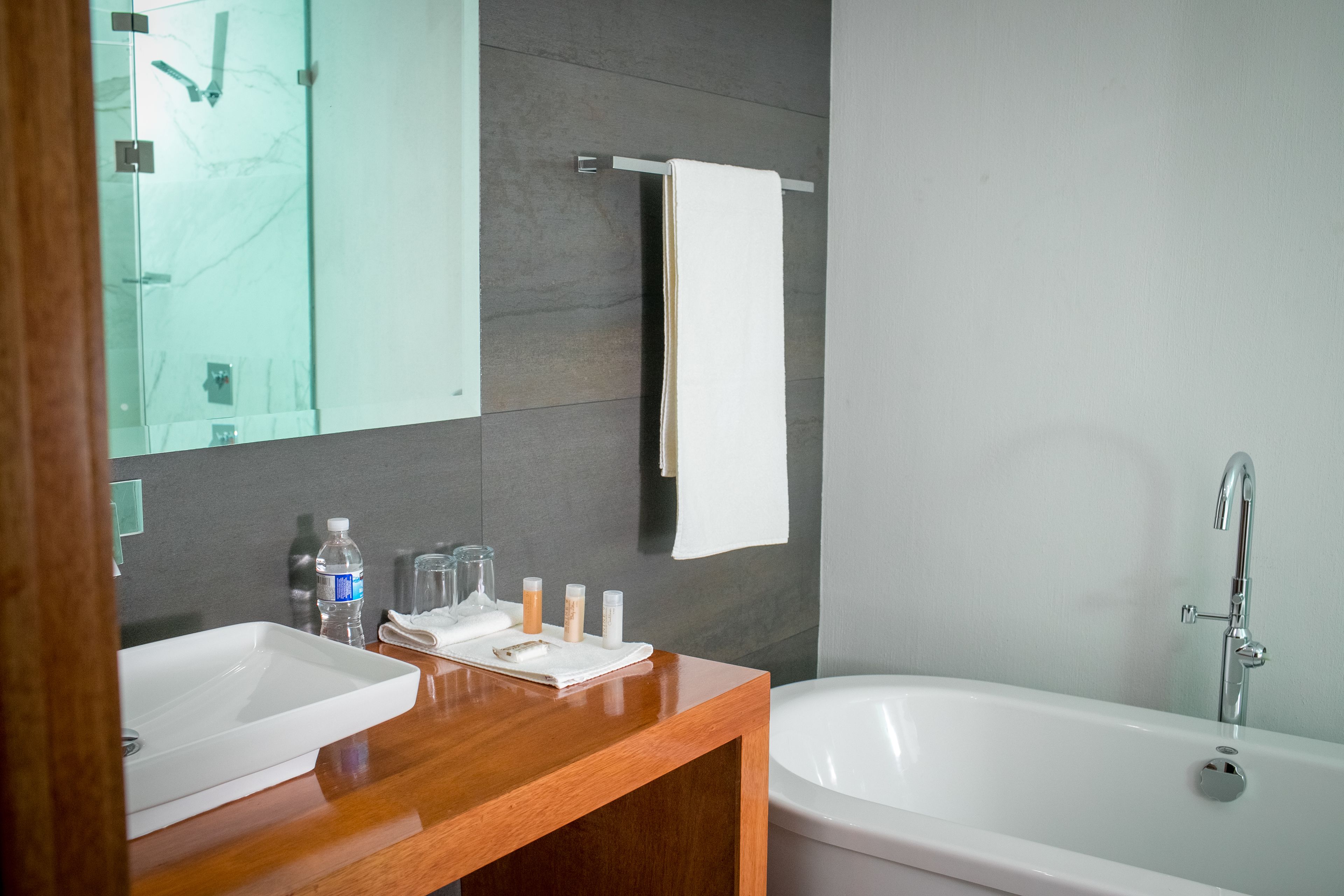 deluxe suite | bathroom shower