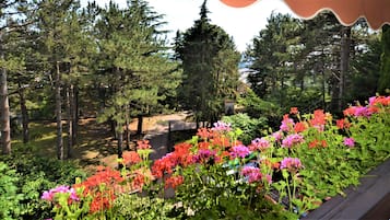 Comfort-Doppel- oder -Zweibettzimmer, eigenes Bad, zum Garten hin | Blick auf den Garten