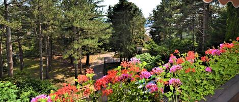 Comfort Double or Twin Room, Private Bathroom, Garden Area | Garden view