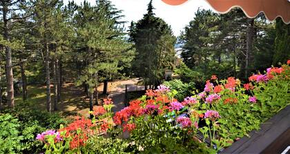 Trieste59 B&B