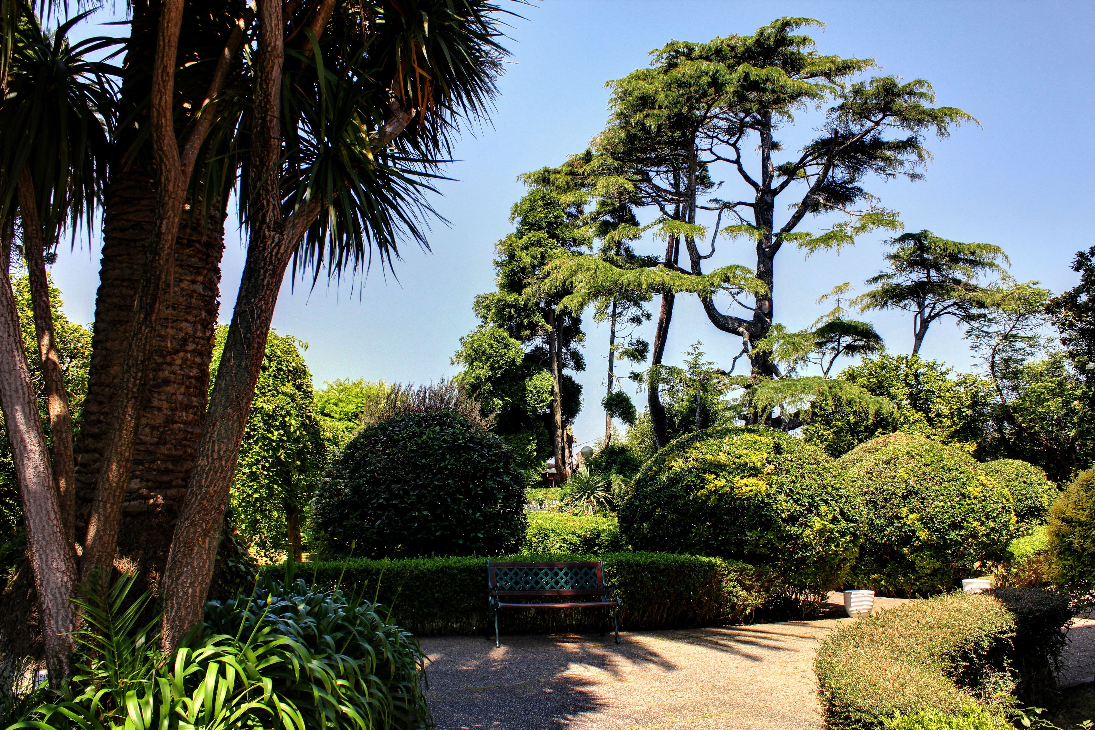 garden