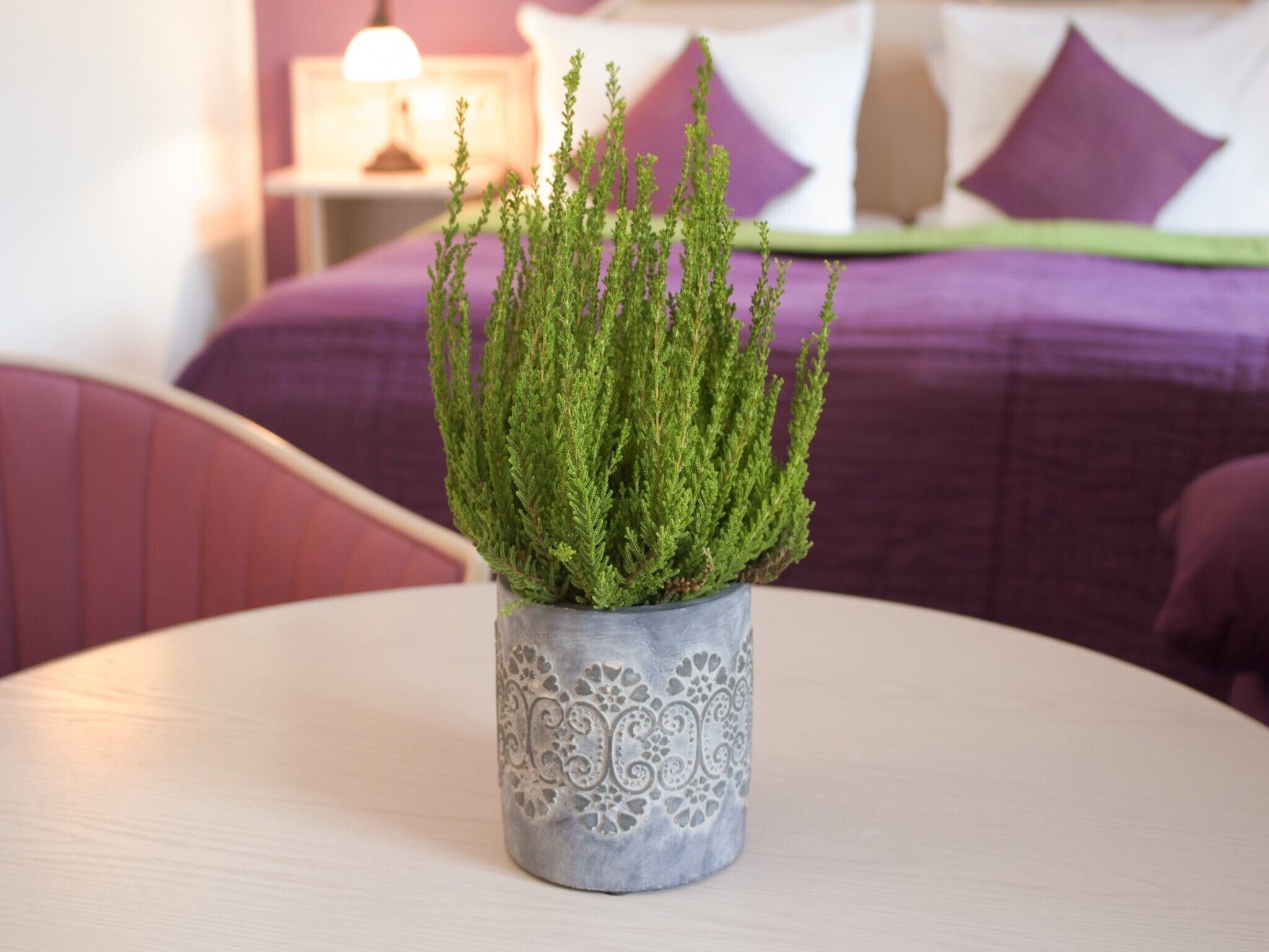 classic single room, ensuite