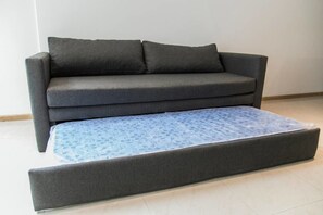 Apartment, 1 Double Bed with Sofa bed | Living area | Flat-screen TV, Netflix