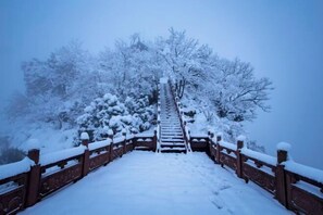 Property grounds - Sun Forest Resort Hotel (Huangshan)