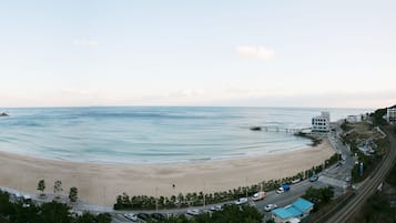 Beach/ocean view