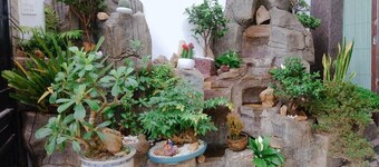 Melody Homestay Quy Nhon - Hostel