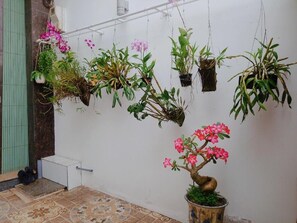 Property grounds - Melody Homestay Quy Nhon - Hostel (Quy Nhon)
