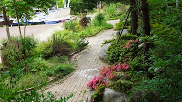 Ein Gartenweg mit einer Bank, umgeben von üppigem Grün und blühenden Pflanzen.
