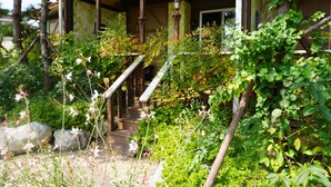 Una scala di legno tradizionale conduce a una casa circondata da vegetazione lussureggiante e piante fiorite.