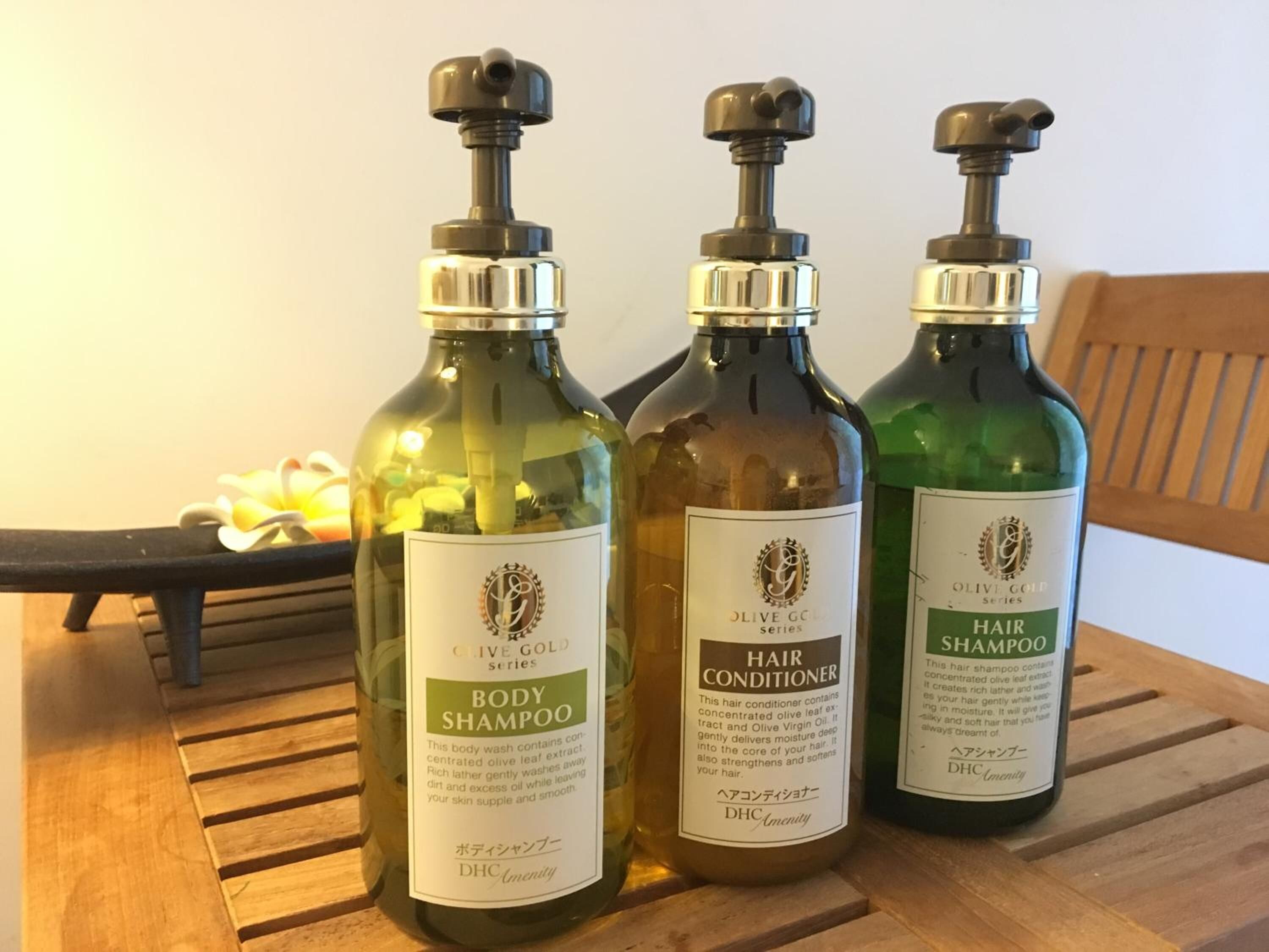 shower, free toiletries, hair dryer, slippers