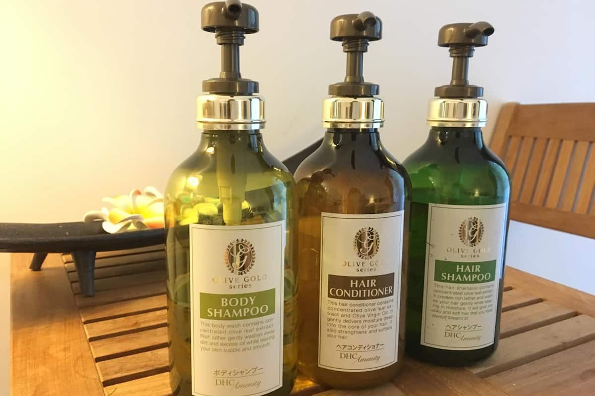 shower, free toiletries, hair dryer, slippers