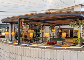 Cafetera/tetera, artículos de limpieza ecológicos