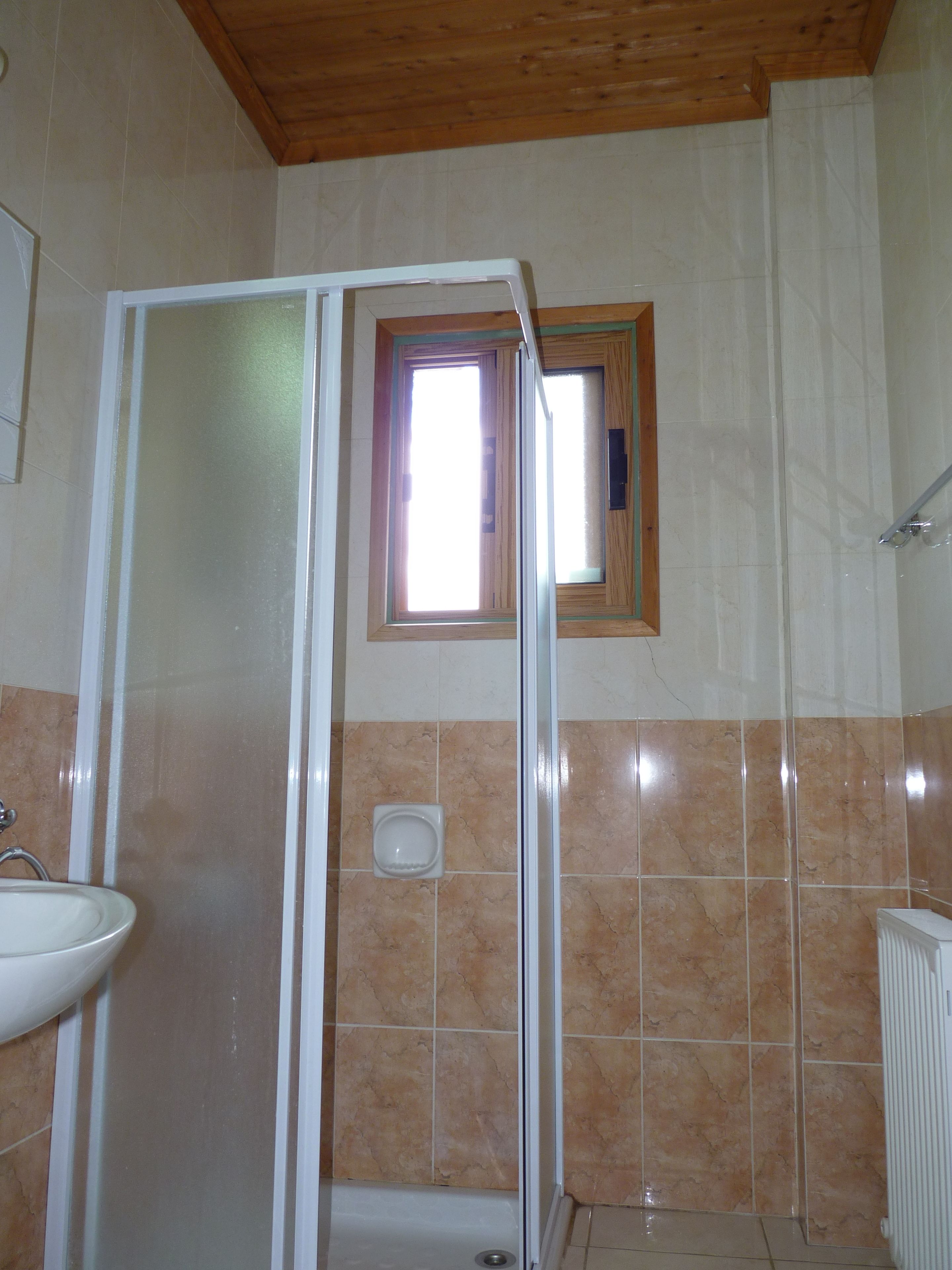 A bathroom with a shower enclosure, a sink, and a window.