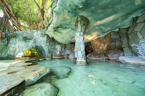 A natural hot spring with clear water, stone formations, and a canopy of trees. - Ibusuki Phoenix Hotel (Ibusuki)