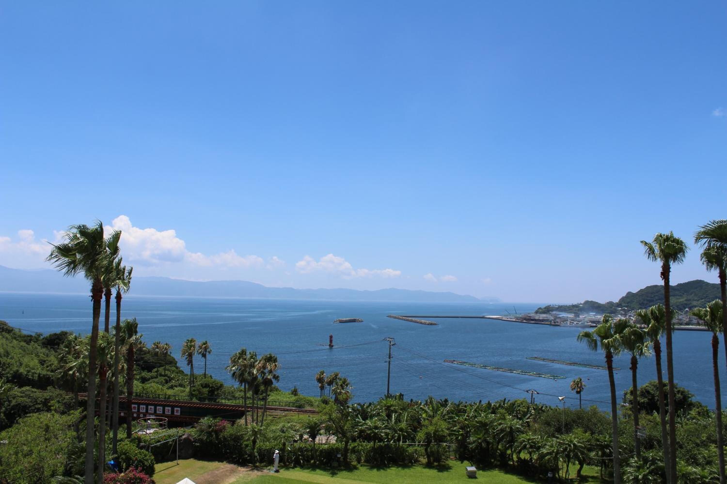 A coastal view with palm trees, a bridge, and a clear blue sky.