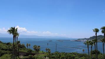 Vista costera con palmeras, un puente y cielo azul despejado.
